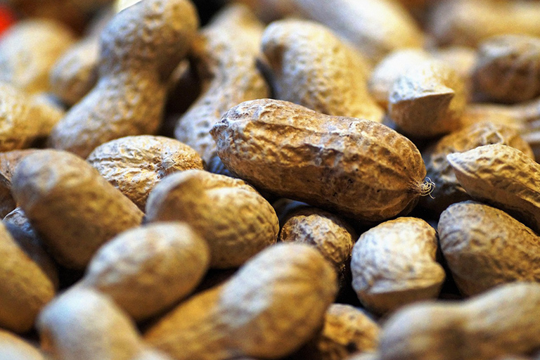 Peanut Food Sensitivities